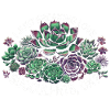 Succulents