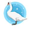 Swan Swan Lover Swans Gift