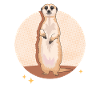 Meerkat Cool Divertente Regalo di suricato