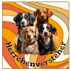 Herrchenversteher, karo