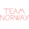 Team Norway in heart