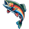 truite arc-en-ciel pêche pêche poisson