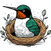 Eisvogel Nest