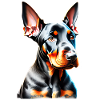 Dobermann Hund Dobermanntrainer Dobermannwelpe
