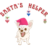 Chihuahua dog Santa's helper