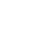 Année 1970