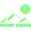 Vinson