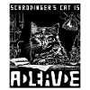 Schrodinger's Cat Dead And Alive