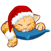 Sleepy Christmas Cat