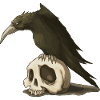Crow and Skull