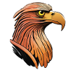 Aigle