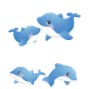 Dolphin Love