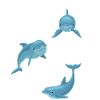 Dolphin Love
