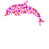 Dolphin Heart