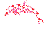 Dolphin Heart