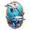 Delfin & Ozean