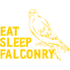 Falconry Ornithology Gift