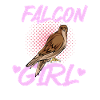 Cadeau d’ornithologie de fauconnerie
