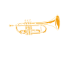 Trumpet Trumpeter Trumpet Player