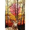 Cerf