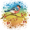 Bunter Vogel