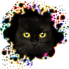 Katze