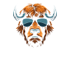 Bison Büffel Cool