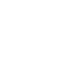 Limited Edition Shield Design
