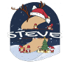 Awesome Steve Name w Santa Hat in Xmas Theme