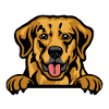 Golden Retrievers Radiance: Joyful Companionship