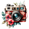 Camera, Camera, Photograph, Photographer