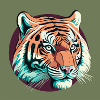 Tiger / Raubkatze