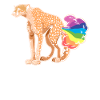 Cheetah Funny Rainbow Fart