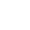Chinchilla Just Smile