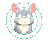 Chinchilla Mignon Juste Sourire