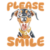 Doberman Mignon Juste Sourire