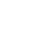 Année du Dragon 2024
