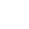 Année du Dragon 2024