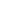 Année du Dragon 2024