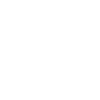 Année du Dragon 2024