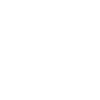 Année du Dragon 2024