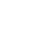 Année du Dragon 2024
