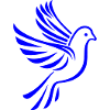 Dove Drawing