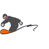 Snowboarding