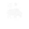 Bison and moonlight animal