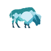 Bison Büffel Wildtier