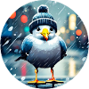 Cute seagull in the rain