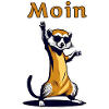 Moin Meerkat