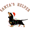 Dachshund dog Santa's helper