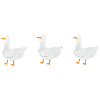Biele Biele Biele Appelez-les